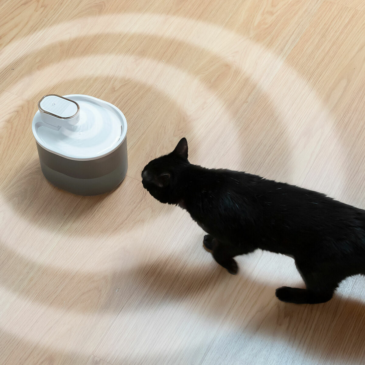 AquaFlow | Rechargeable Cat&dog Water Fountain with Sensor Refopet InnovaGoods-11