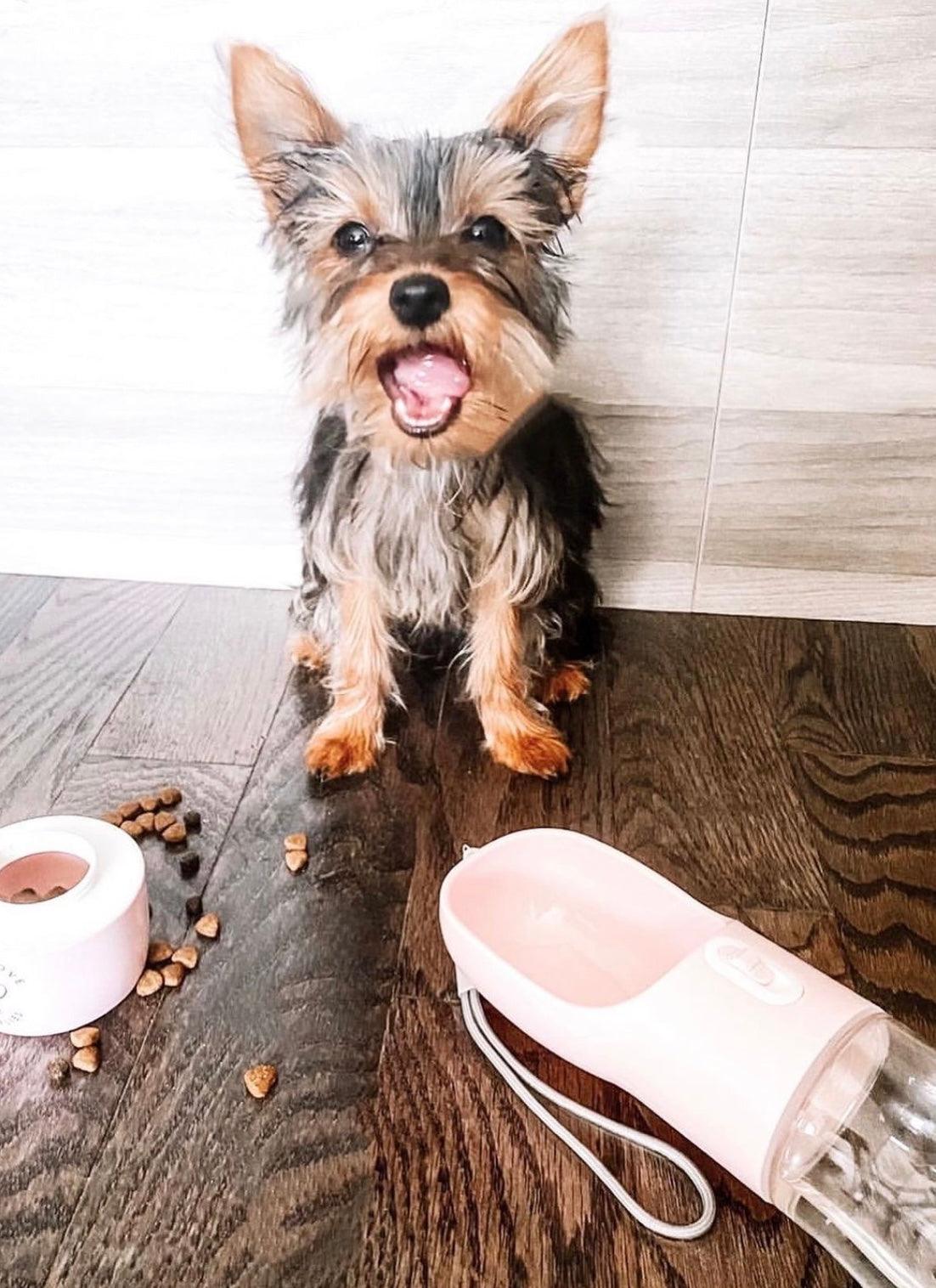 FeedMate 2 IN 1 PORTABLE PET FEEDER - PINK-4