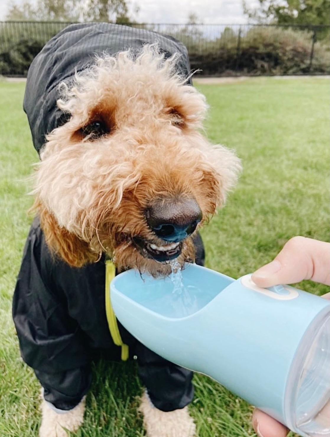 FeedMate 2 IN 1 PORTABLE PET FEEDER - BLUE-3