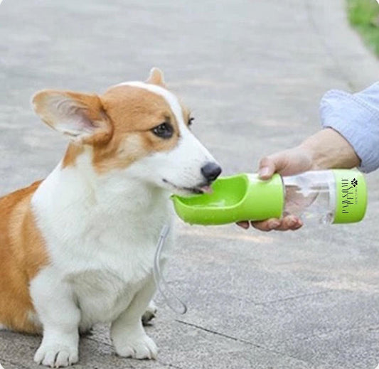 FeedMate 2 IN 1 PORTABLE PET FEEDER - GREEN-1