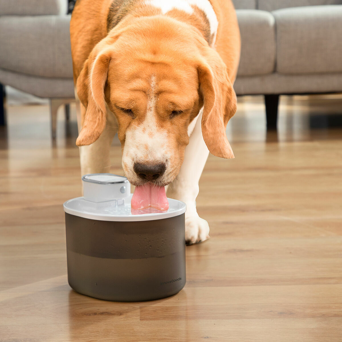 AquaFlow | Rechargeable Cat&dog Water Fountain with Sensor Refopet InnovaGoods-8