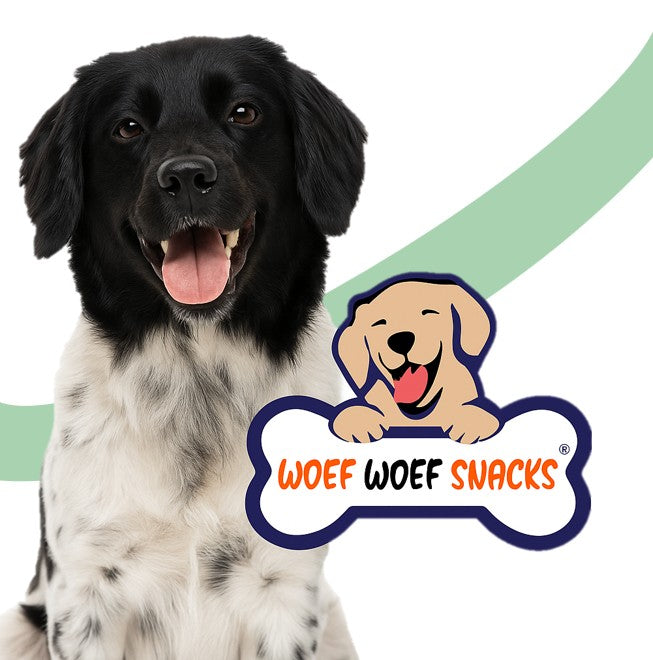 SmartBite | Try-Out Trainers Snackbox-4